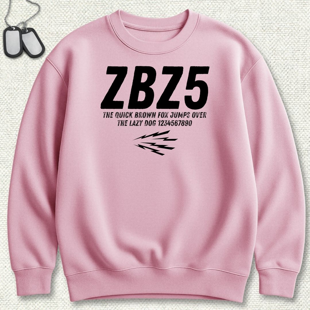 ZBZ5 Sweatshirt - Pink